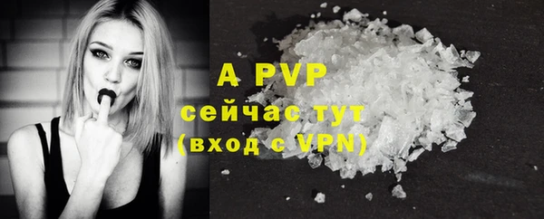 дмт Белокуриха