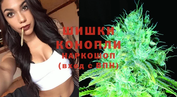 дмт Белокуриха