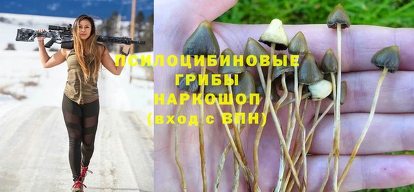 индика Дмитровск