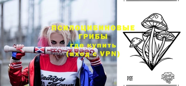амф Горно-Алтайск