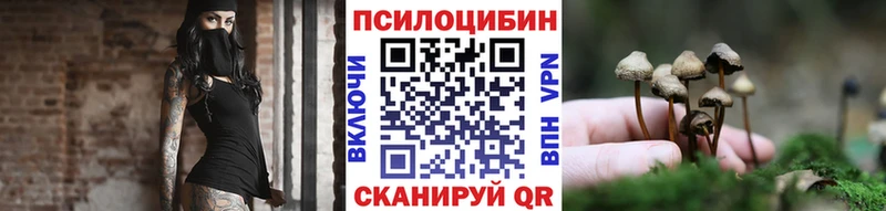 Псилоцибиновые грибы мицелий  MEGA зеркало  Шагонар  купить закладку 